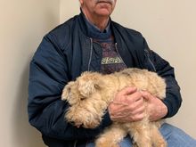 Sydney just before crossing Rainbow Bridge. She had been sedated and I am holding her one last time RIP Sweet Sydney 