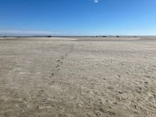 A long way to get to the water. Walking on the ocean's floor.....low tide