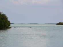 Boating in the Keys near Sugarloaf