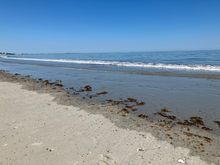 Nantasket Beach. 