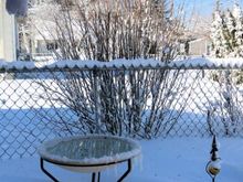 Heated bird bath in too deep for a good cleaning, splashed some water in.