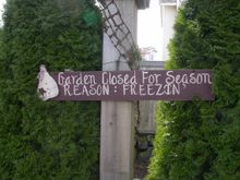 DSCN9545.JPG