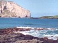 north_shore_panoramic copy.JPG