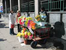 120_2008.JPG