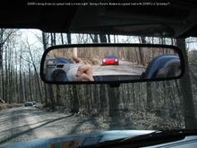 Things one does not see often (if ever).jpg