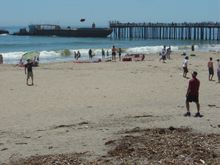 DSC01650.JPG