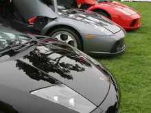 IMG_6773a.jpg