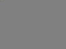 P9080053.JPG