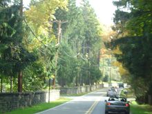 FallColors2004 026.jpg