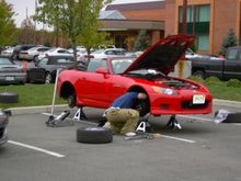 PICT0019.JPG