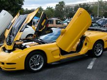 Wild Corvette.jpg