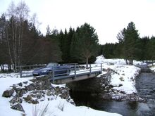 DSCF0088.JPG
