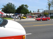IMG_1135.JPG