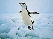 jump