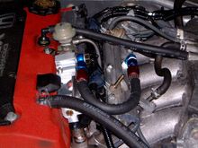 DSCF1552.JPG