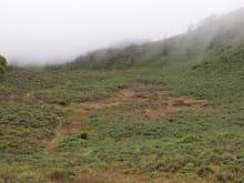 Hiking in the mist.jpg