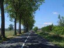 French Connection II 015.jpg