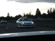 pic18.jpg