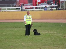 image083.jpg