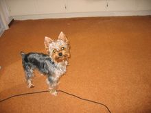 Picture 030.jpg