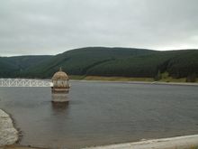 DSCF0044.JPG