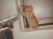 Hostage