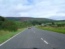 DSC02332.JPG