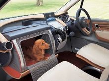 wow doggie.jpg