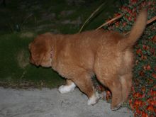 IMG_0003 1.JPG