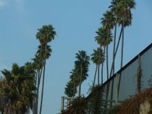 IMG_0774.JPG