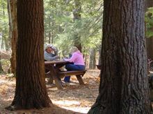 Dsc02762.jpg