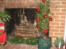 tree 012.jpg