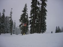 IMG_0867.JPG