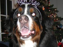 BETTIS NEW YEAR