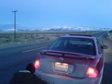 reno pics