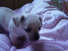 DSC01761.JPG