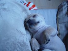 DSC01773.JPG