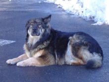 bear valley 012.jpg