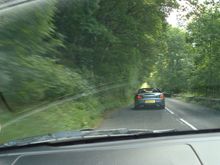 08.Streaky.jpg