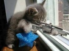 MouseHunter.jpg