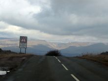 IMG_4803.JPG