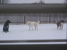 118_1806.JPG