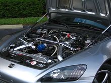 IMG_1300.jpg