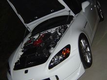 PSS9sBBK 025.jpg
