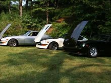 IMG_2972.jpg