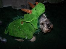 Picture 018.jpg