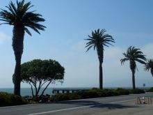 DSC00322.JPG