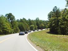 DSC09448 (Large).jpg