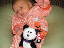 IMG_0185.jpg