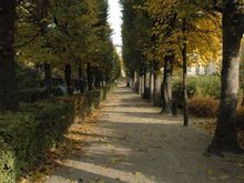 DSC_1091.JPG
